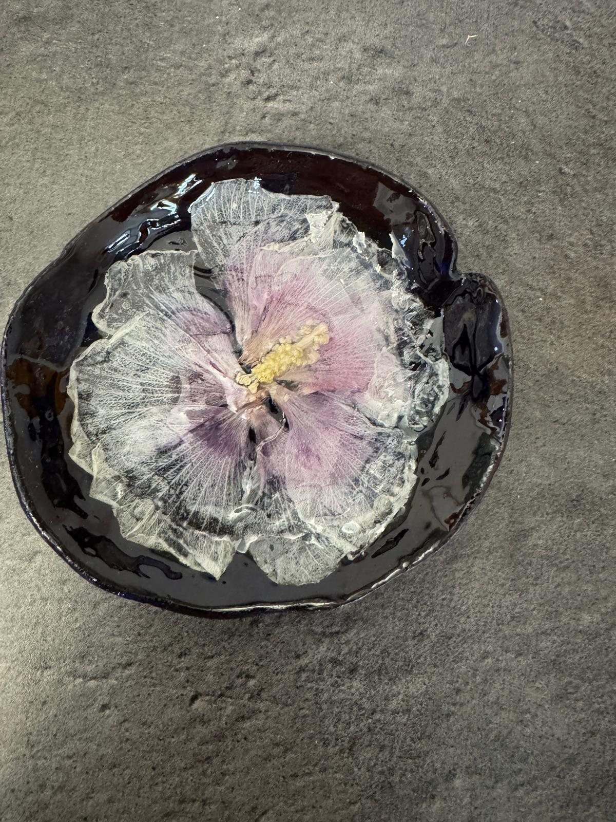 Coupelle Hibiscus Nocturne vue du dessus